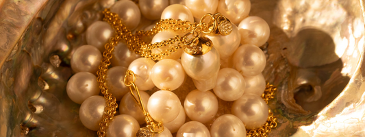 pearls in an oyster shell