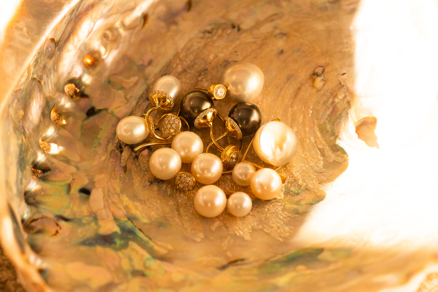 variety of pearl earrings, black and natural in seashell